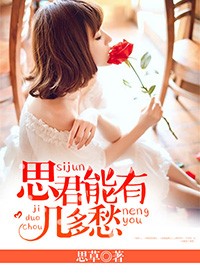 思君能有幾多愁小說