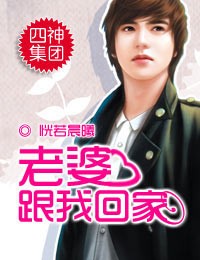 四神集團②：老婆，跟我回家小說