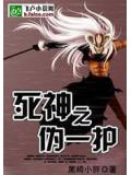 死神之僞一護小說