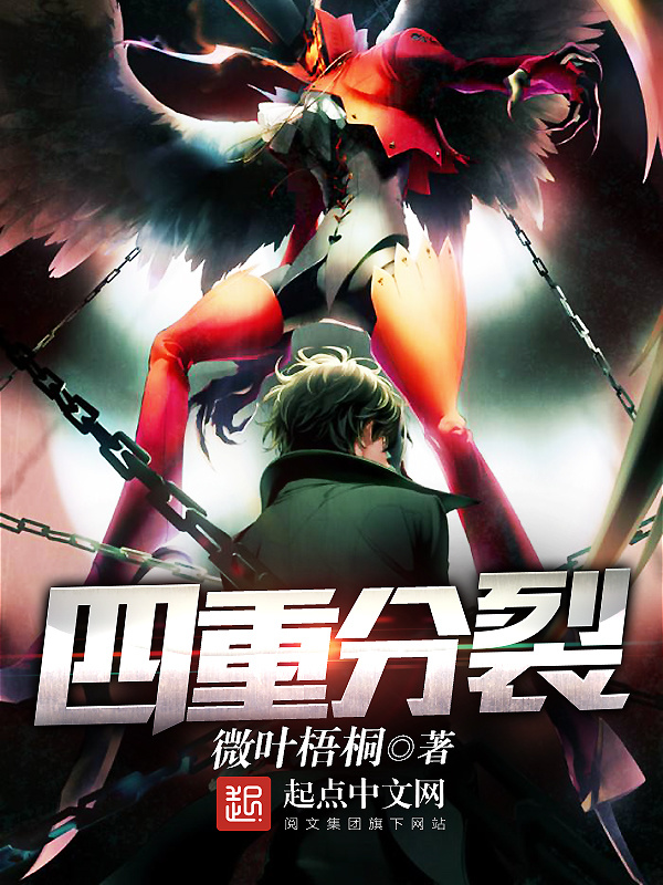 四重分裂小說