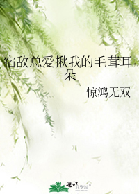 宿敵總愛揪我的毛茸耳朵小說