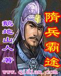 隋兵霸途小說