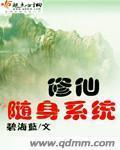 隨身修仙系統小說