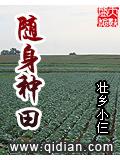 隨身種田小說