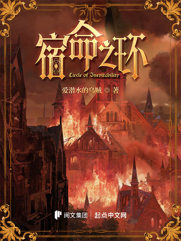 宿命之環小說