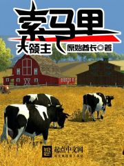 索馬里大領主小說