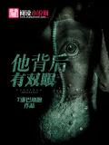 他背後有雙眼小說