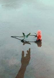 他夢喚如沐小說