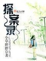 探案錄小說