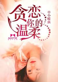 貪戀你的溫柔小說