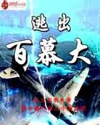 逃出百慕大小說