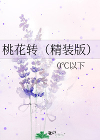 桃花轉（精裝版）小說