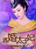 逃婚太子妃小說