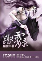 踏霄錄小說