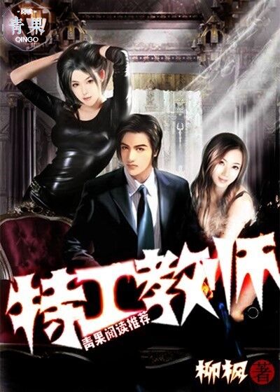 特工教師小說