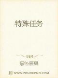 特殊任務小說