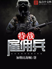 特戰僱傭兵小說