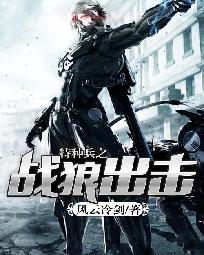 特種兵之戰狼出擊小說