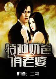 特種奶爸俏老婆小說