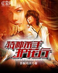 特種殺手護花行小說