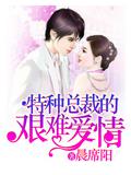 特種總裁的艱難愛情小說