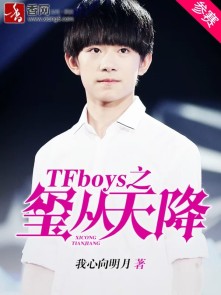 TFboys之璽從天降小說