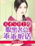 天才寶貝上陣：腹黑老總乖乖聽話小說
