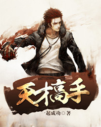 天才高手小說