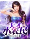 天才小農民小說