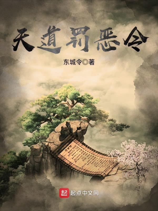 天道罰惡令小說
