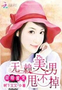 甜婚蜜愛:無賴美男甩不掉小說