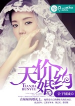 天價婚約小說