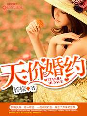 天價婚約小說