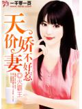 天價嬌妻不好惹小說
