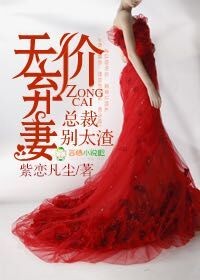 天價棄妻,總裁別太渣小說