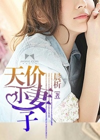 天價小妻子小說