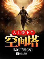 天上掉下個空間塔小說