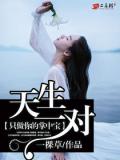 天生一對：只做你的掌中寶小說