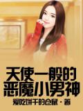 天使一般的惡魔小男神小說