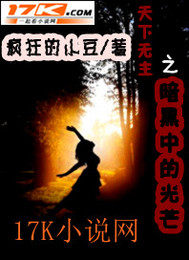天下無主之暗黑中的光芒小說