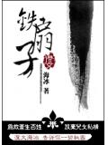 鐵扇子小說