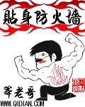 貼身防火牆小說