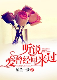 聽說愛曾經回來過小說