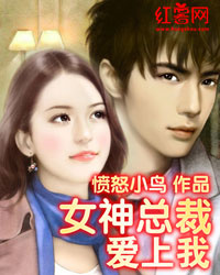 同居情緣：我與女神總裁合租小說