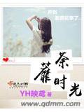 荼蘼時光小說