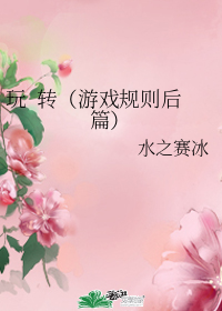 玩 轉（遊戲規則後篇）小說