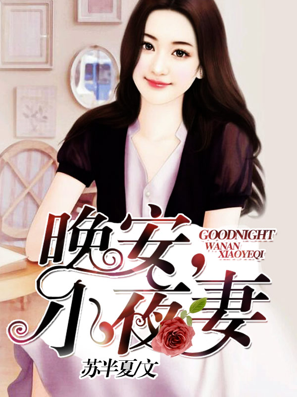 晚安，小夜妻小說