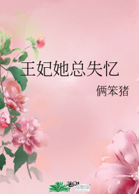 王妃她總失憶小說