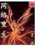 網絡重生小說