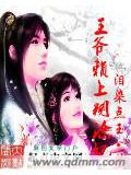 王爺賴上糊塗妃小說